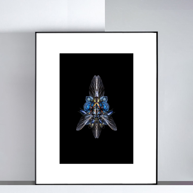 Imago Bleu | Tirage 2/8