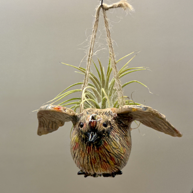 Flying bird air plant basket