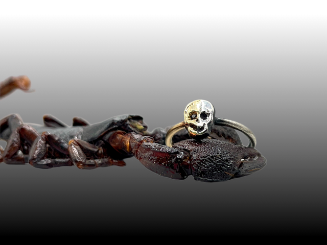 Chimera 9ct Yellow Gold and Sterling Silver Skull Ring with Black Diamond