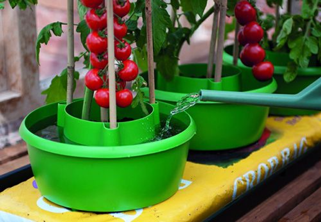 Garland Halos – Supporto con Invaso per Irrigazione | Set 3 Pezzi | Per Pomodori, Peperoni e Fagioli