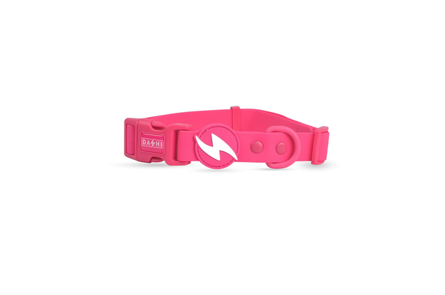 ColorFlex Pink collar