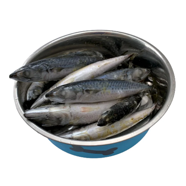 RAW - Whole Mackerel 1kg