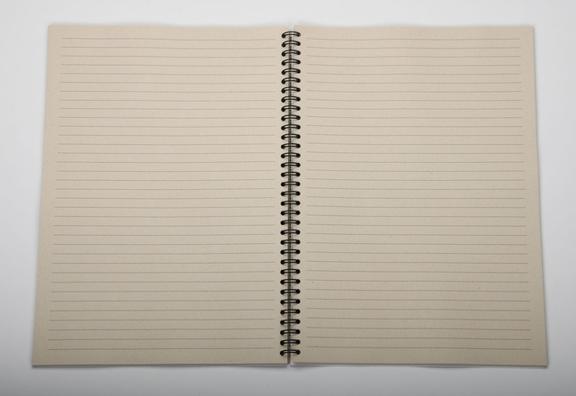 Carnet A4 illustré par Myriam Myrbou de la marque Pepeuf