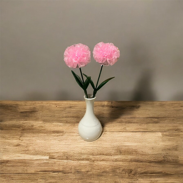 Carnation flowers in ribbon