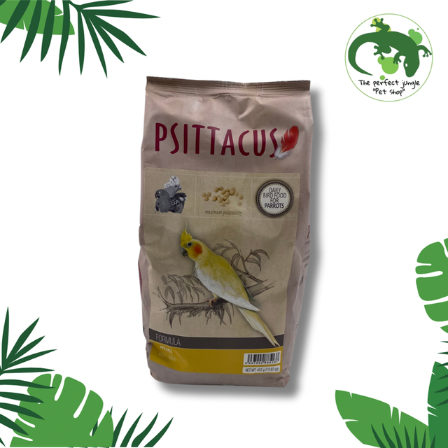 Psittacus Mini (Ninfa) 