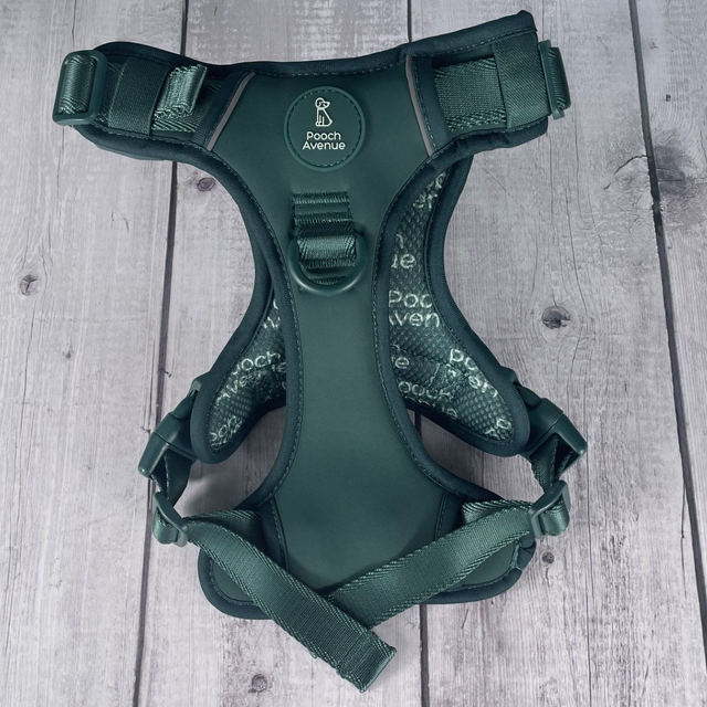Dark Green Comfort+ Explorer Harness