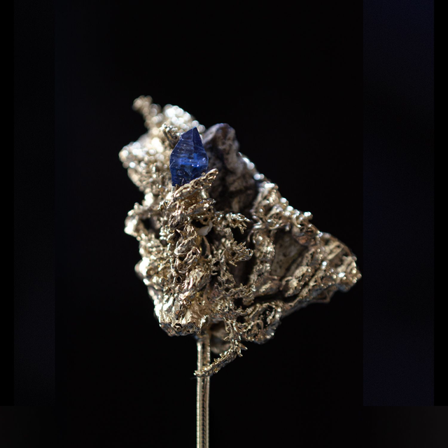 Broche Apothécie - 3/6 