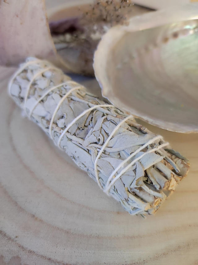 Fagot Sauge blanche 11 cm