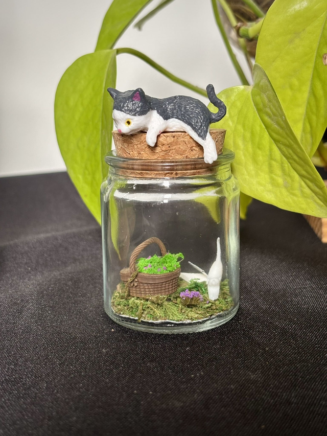 🍃 Mini terrarium verre - Édition été - Petit chat