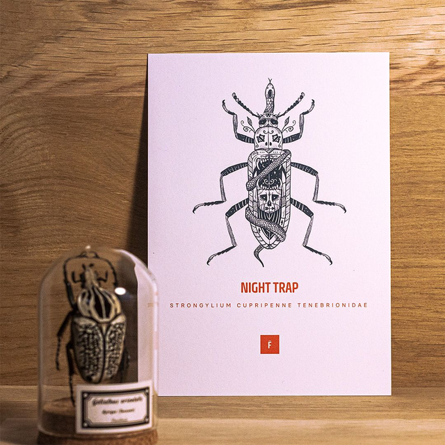 _A5 / Night trap