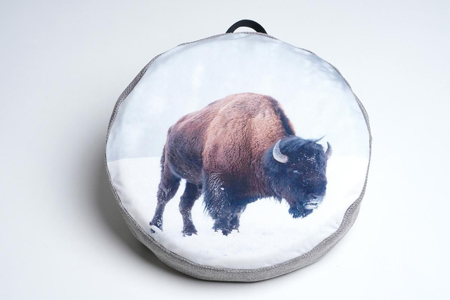 Bison