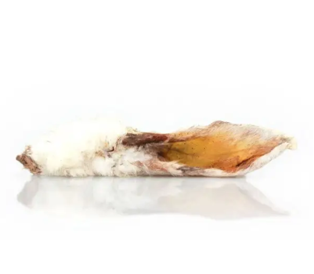 Oreille de lapin