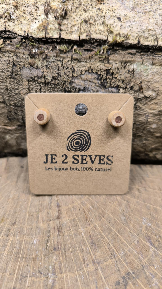 Saule + Aulne - 230208