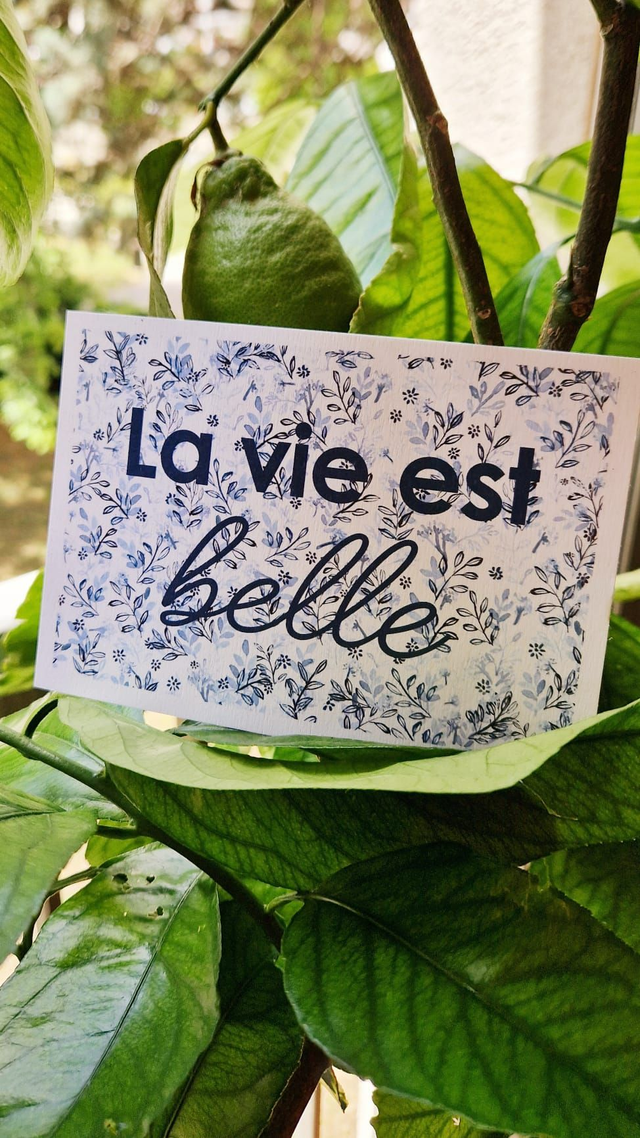 Carte "La vie est belle" - feuillages bleus