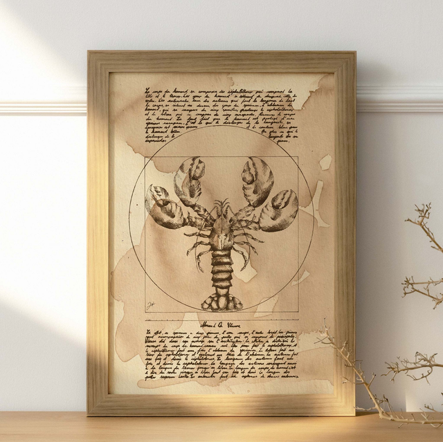 Affiche A4 - Café - Homard de vitruve