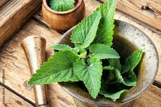 boule de massage en mélisse