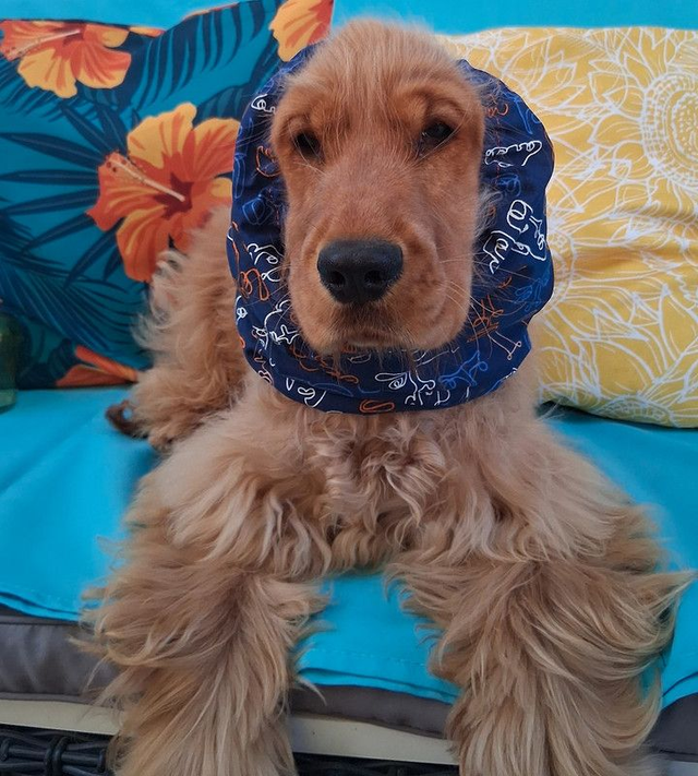 Snood Taille M  Motifs Visages Marine 