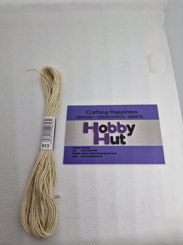 Embroidery Thread - 613