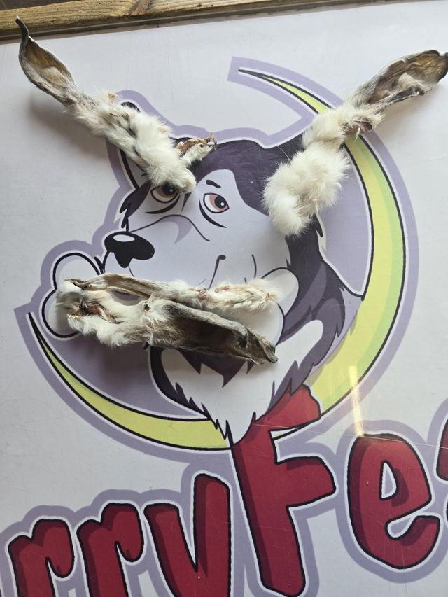 Rabbit Ears With Fur 