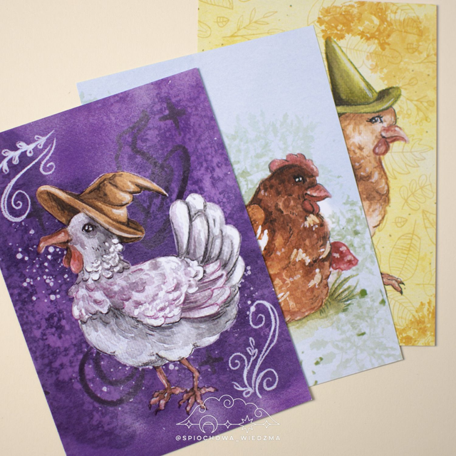 Print Kura | ZWIERZĘTA