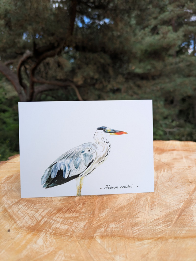 Carte postale Héron