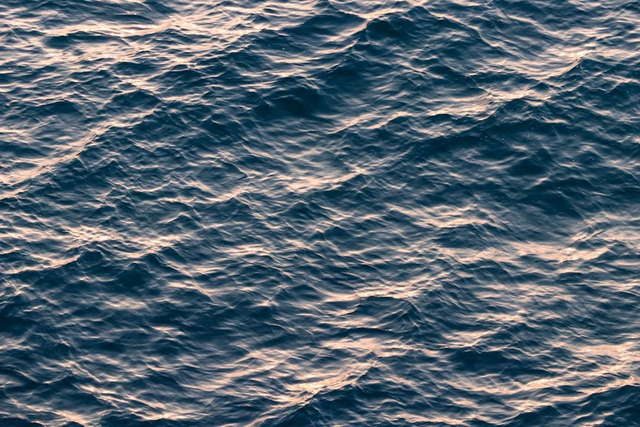 Ocean  Linen