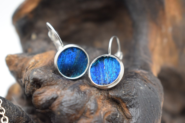 Boucles d'oreilles bleu de paon