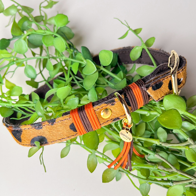 Halsband "Panter"