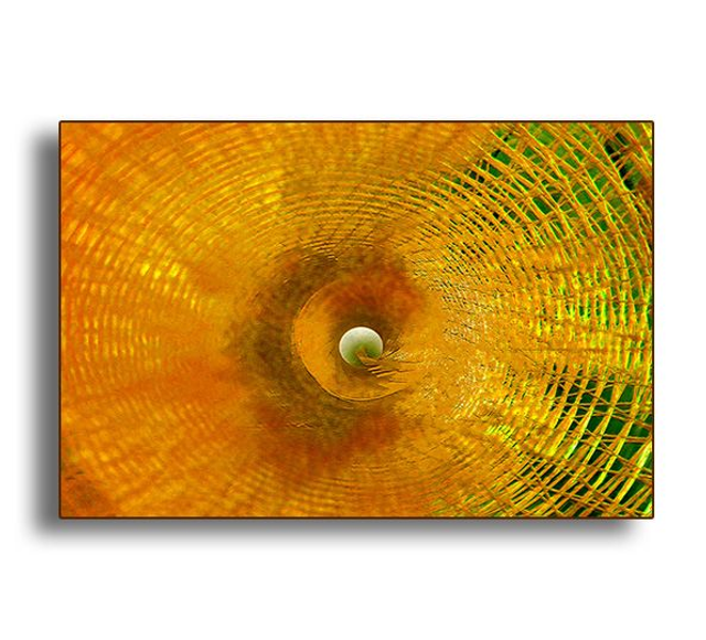 04 Abstract - Back In The Middle, 2011.