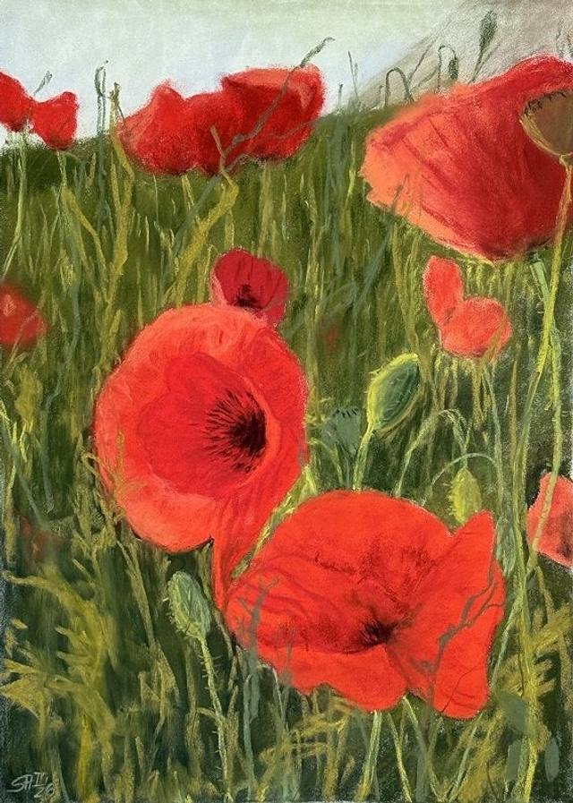"Haldenmohn" Pastellzeichnung