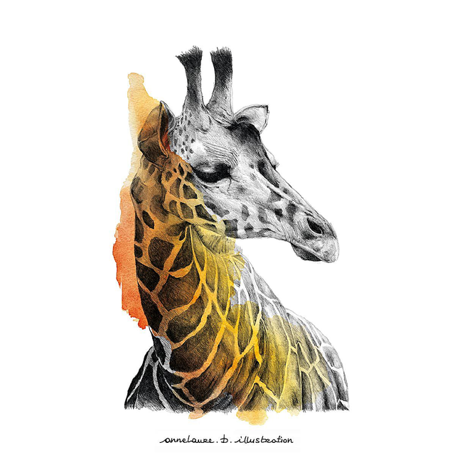 Carte "Girafe"