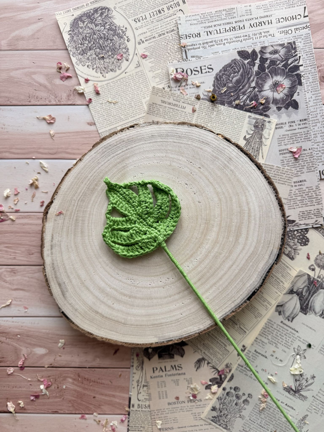 Monstera - petite branche  (personnalisable pour créer votre bouquet)