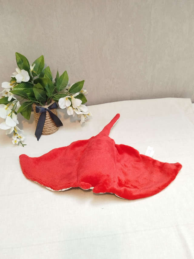 Raie manta rouge