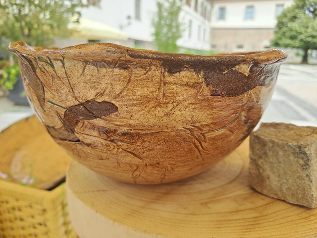 Velika večnamenska skleda