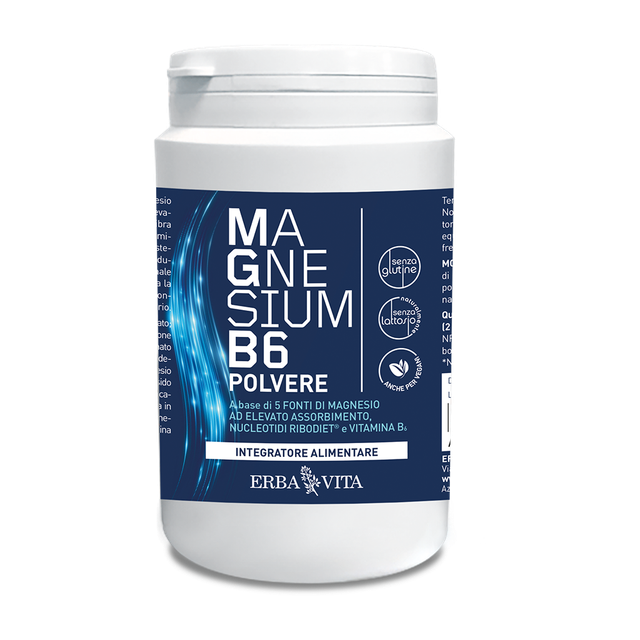MAGNESIUM+B6 200GR POLVERE