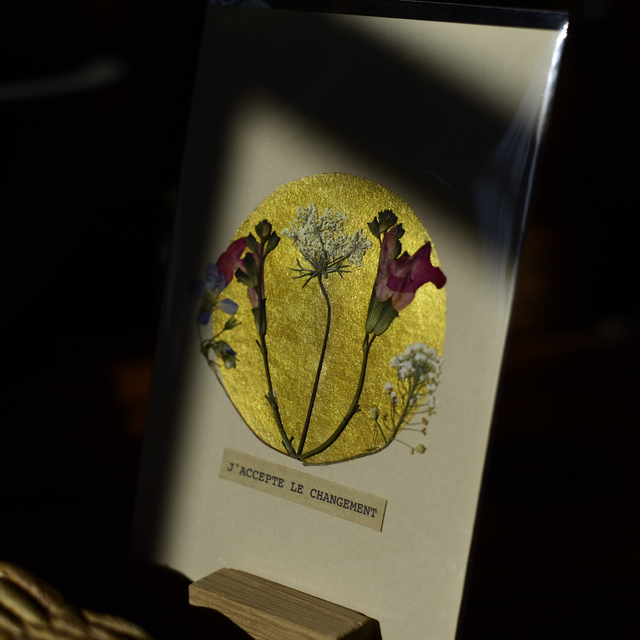 carte postale • j'accepte le changement