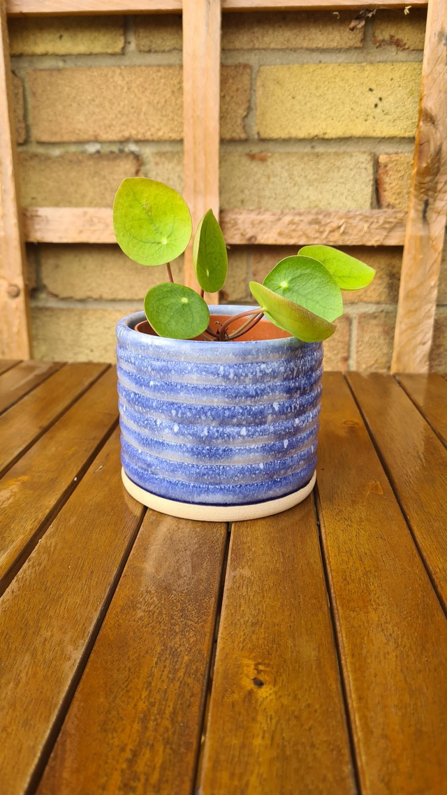 Rumble Planter - Cornflower Blue