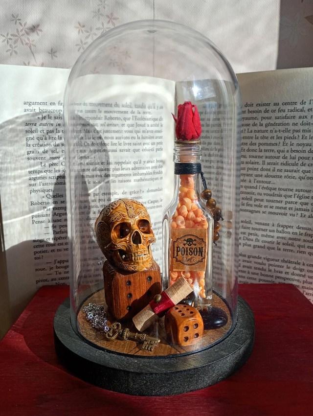 D01 pirate fleur rouge