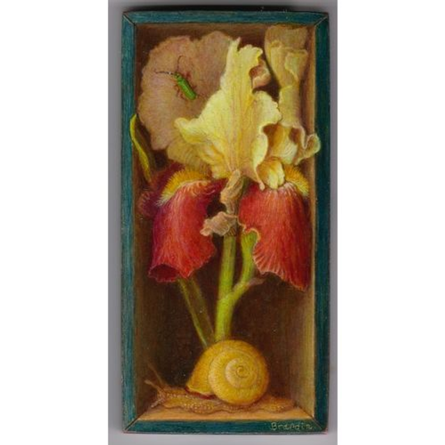 Trompe l&#039;oeil painting of an iris and a snail in a blue box