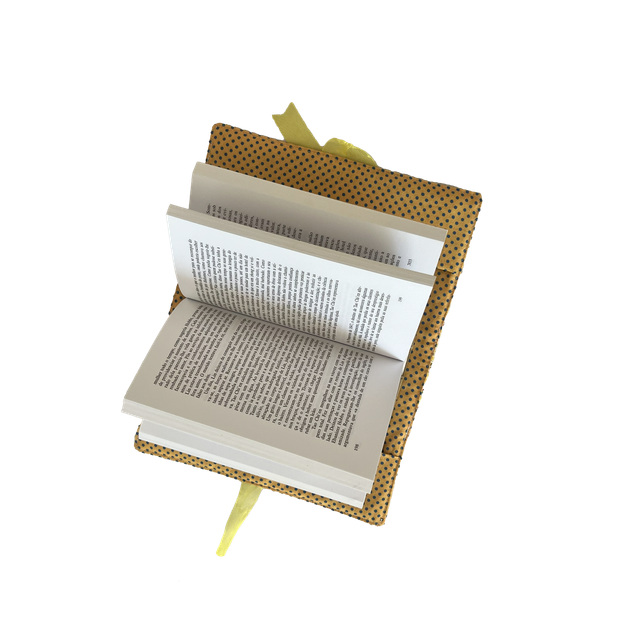 Capas de Livros/Agendas