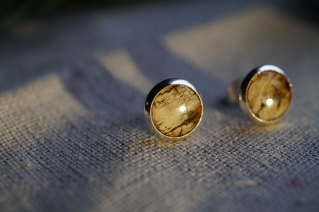 Clous d'oreilles - Bouleau