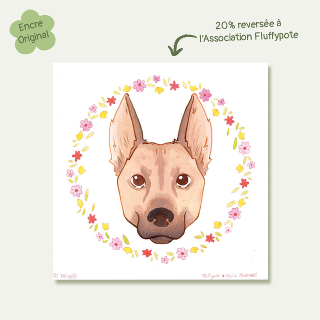 Taily – Œuvre originale solidaire