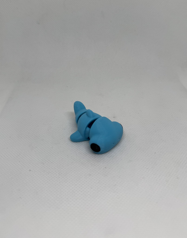 Requin marteau