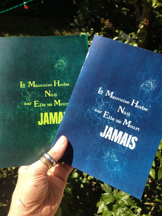  La Mauvaise Herbe Nuit car elle ne Meurt Jamais