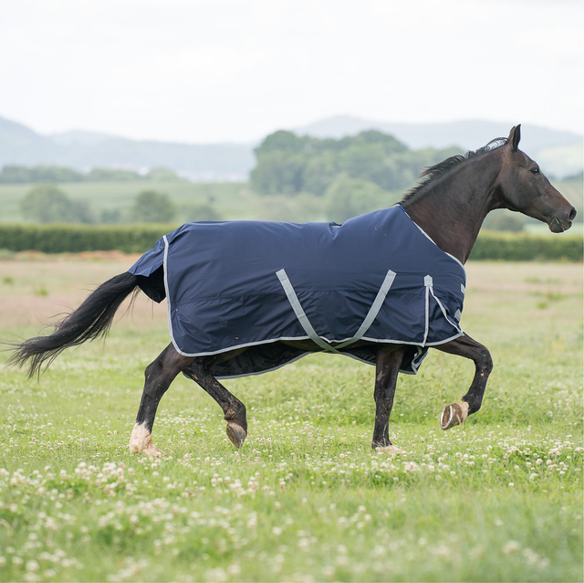 Gallop Trojan 300g Turnout Rug NAVY
