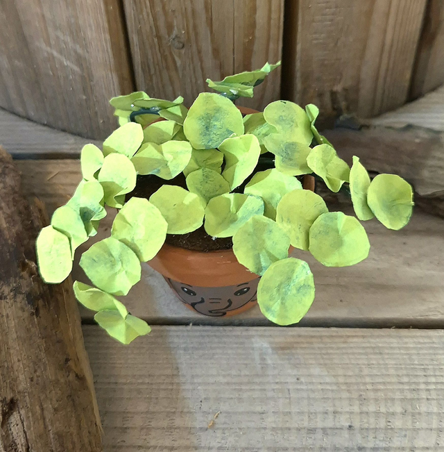 Baby plante "Eléphant"