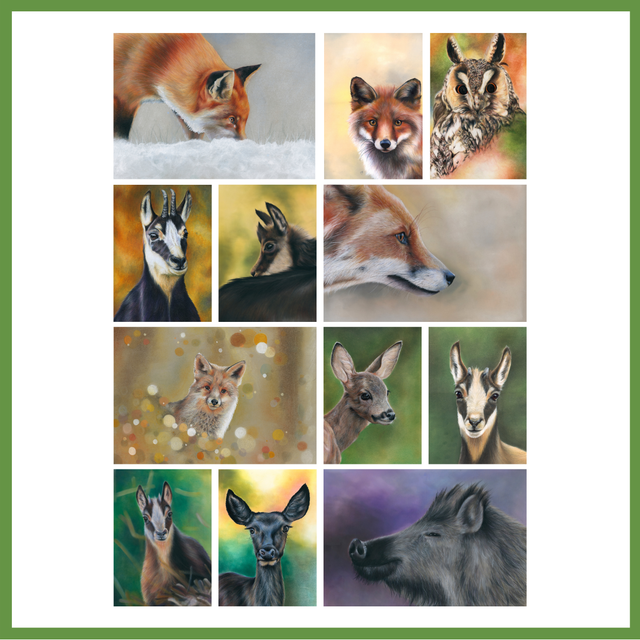 Pack stickers forêt - 12 pièces