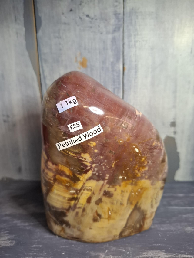 Petrified Wood Free-form 