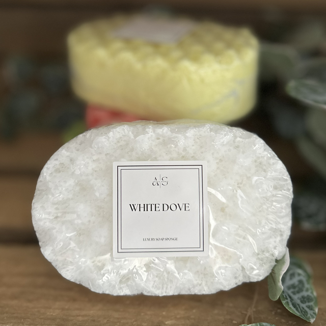 Soap Filled Sponges