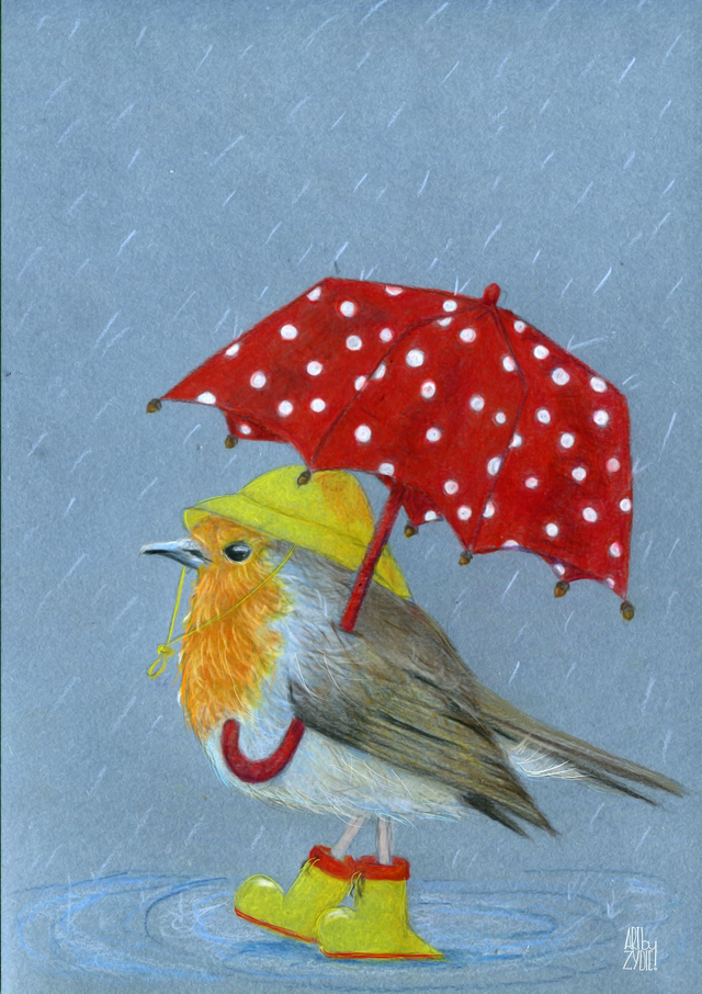 FineArt-Print - Regenrotkehlchen